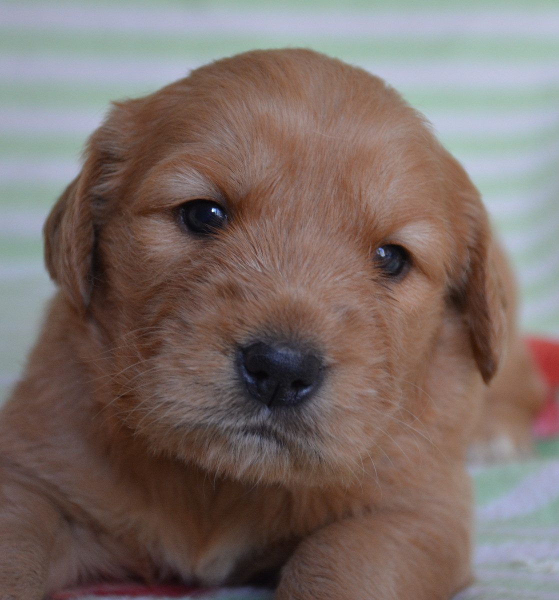 dsc-0756