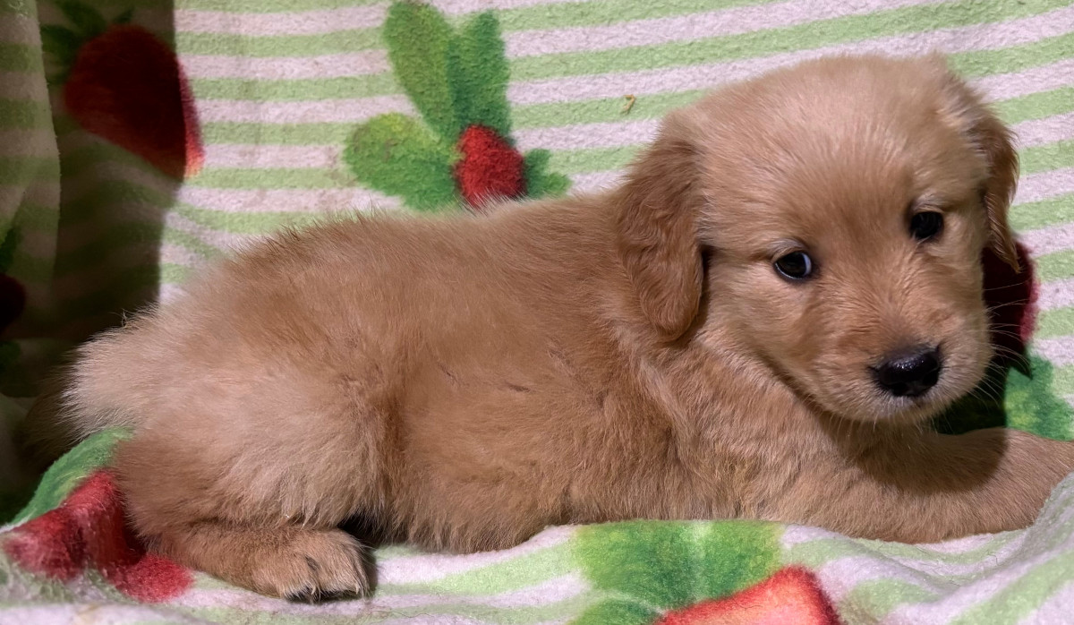 img-20251126-211449-1